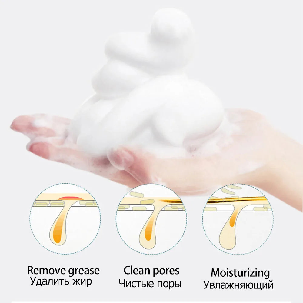 Hyaluronic Acid Amino Acid Gentle Cleansing Mousse