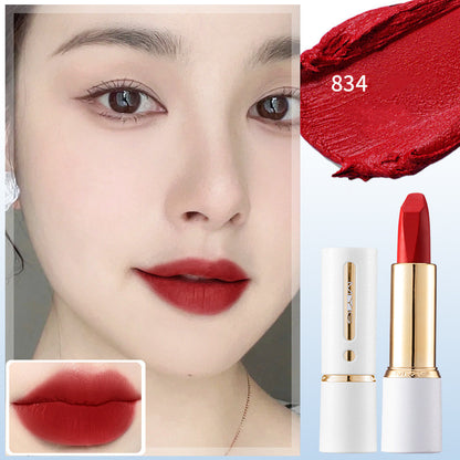 Matte Waterproof Sweat-Resistant Color Display Lipstick