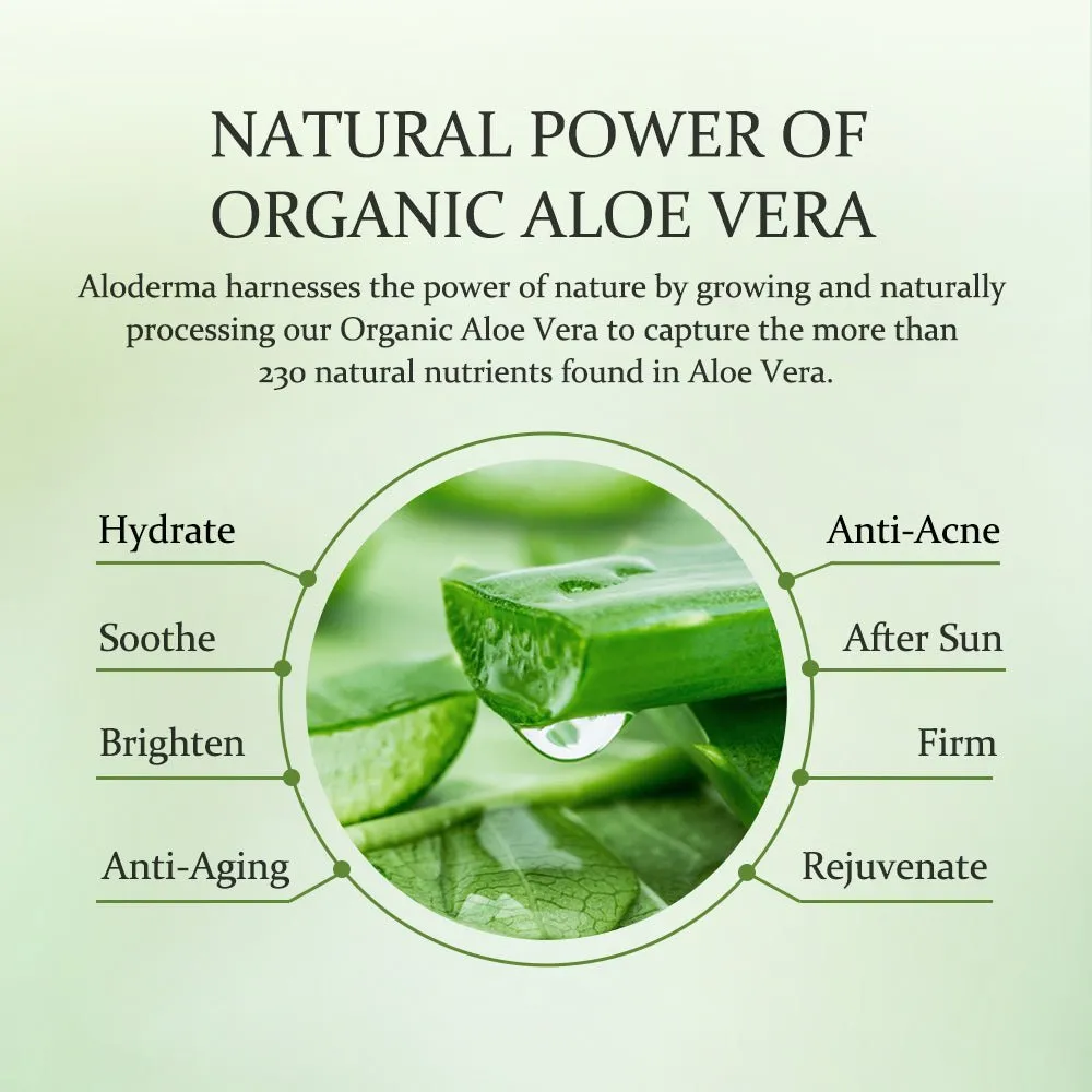 Aloe Soothing Serum