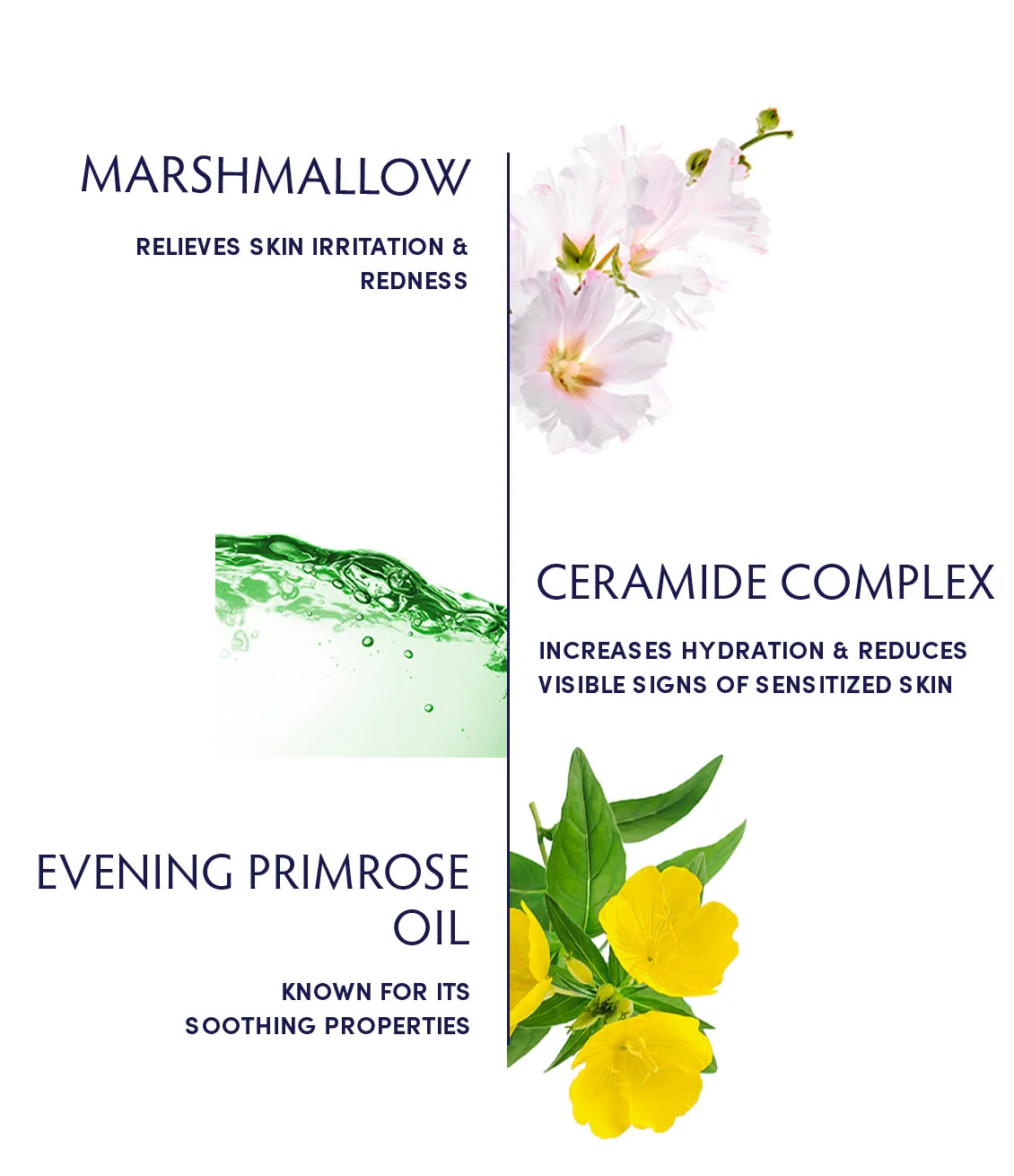 Marshmallow & Ceramide Sensitivity Soothing Serum